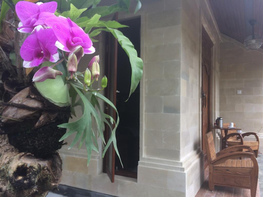 Ubud Rooms B&B Esterno foto