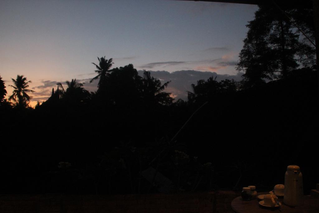 Ubud Rooms B&B Esterno foto