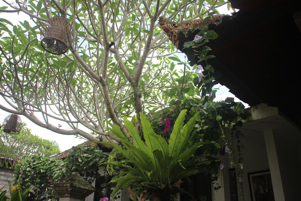 Ubud Rooms B&B Esterno foto